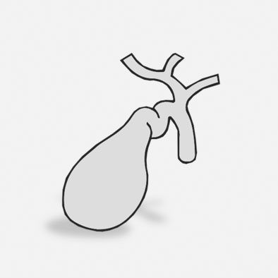 Gall bladder; Kidney